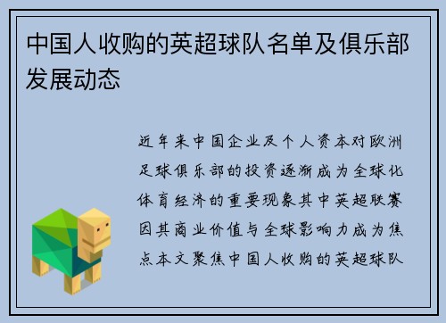 中国人收购的英超球队名单及俱乐部发展动态